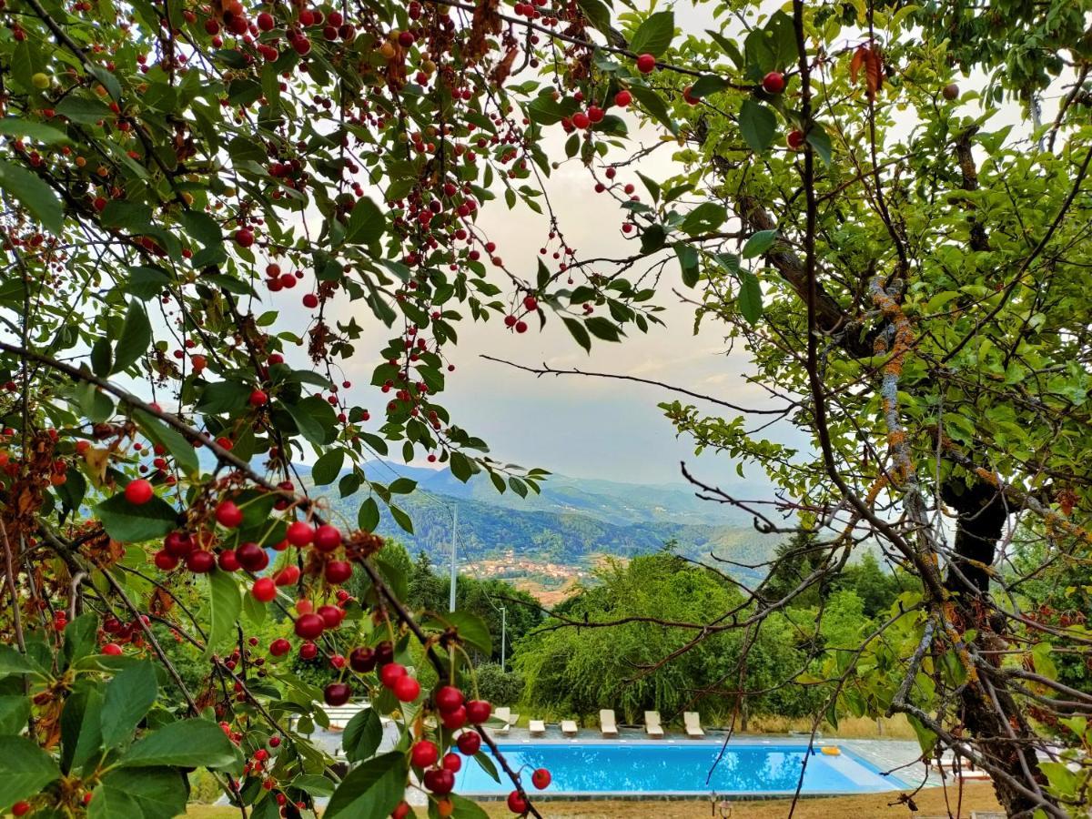 Agriturismo Borgo Biaia Camporgiano Exterior foto